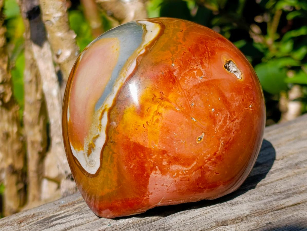 Polished Polychrome Jasper Domed Display Piece x 1 From Madagascar