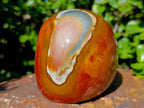 Polished Polychrome Jasper Domed Display Piece x 1 From Madagascar