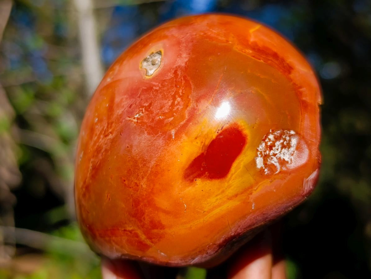 Polished Polychrome Jasper Domed Display Piece x 1 From Madagascar