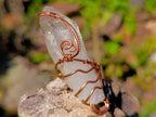 Handmade Copper Wire Art Floater Quartz Crystal Necklace x 1 From Zambia