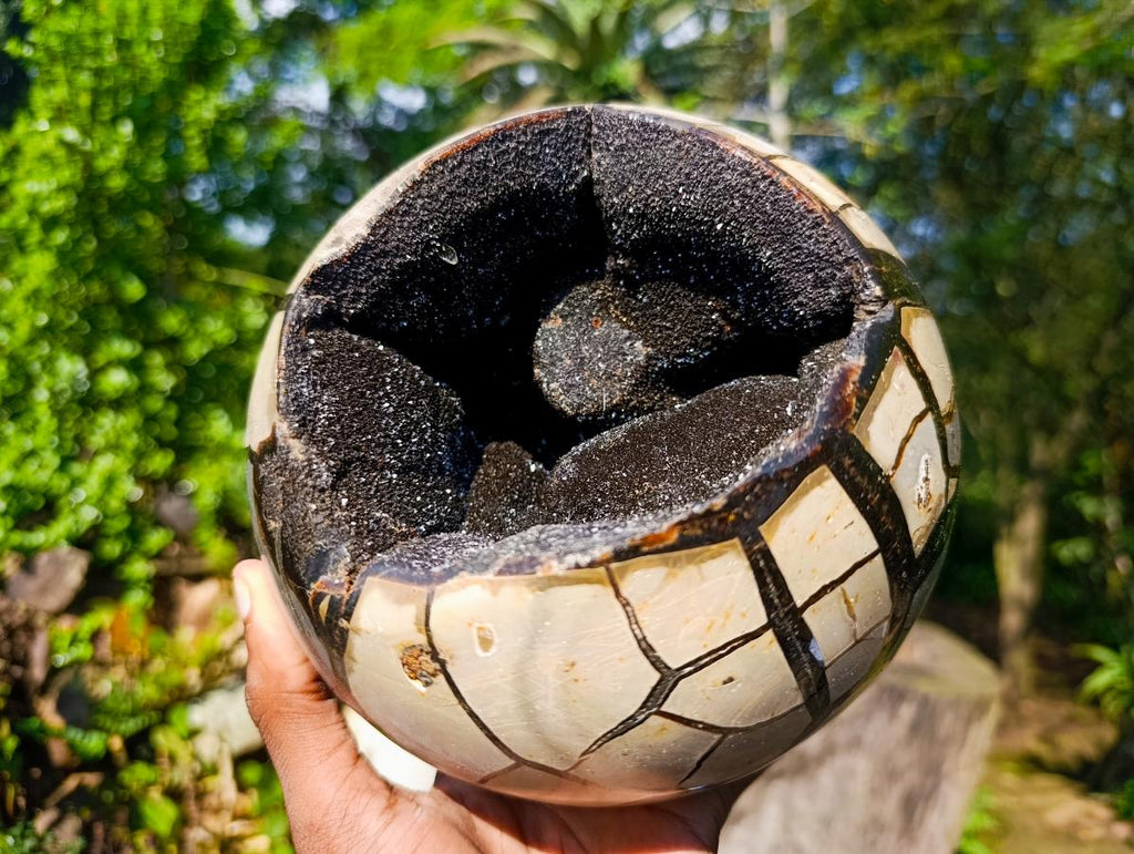 Polished Septerye Sauvage Dragons Egg with Cap x 1 From Mahajanga, Madagascar