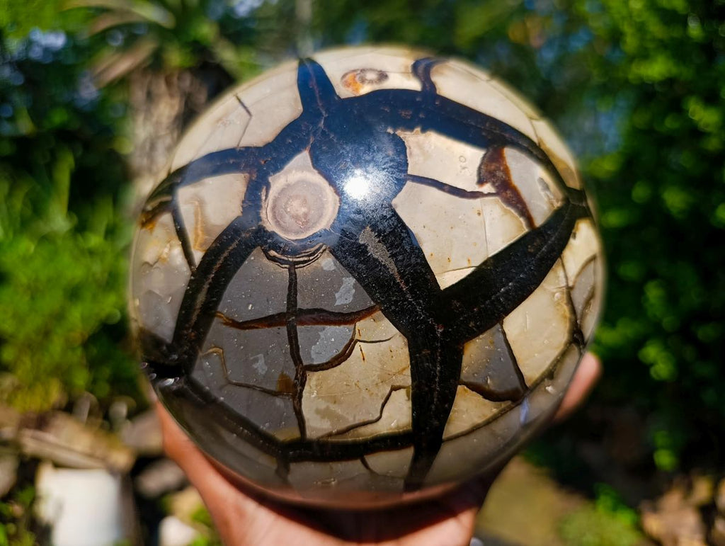 Polished Septerye Sauvage Dragons Egg with Cap x 1 From Mahajanga, Madagascar
