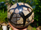 Polished Septerye Sauvage Dragons Egg with Cap x 1 From Mahajanga, Madagascar