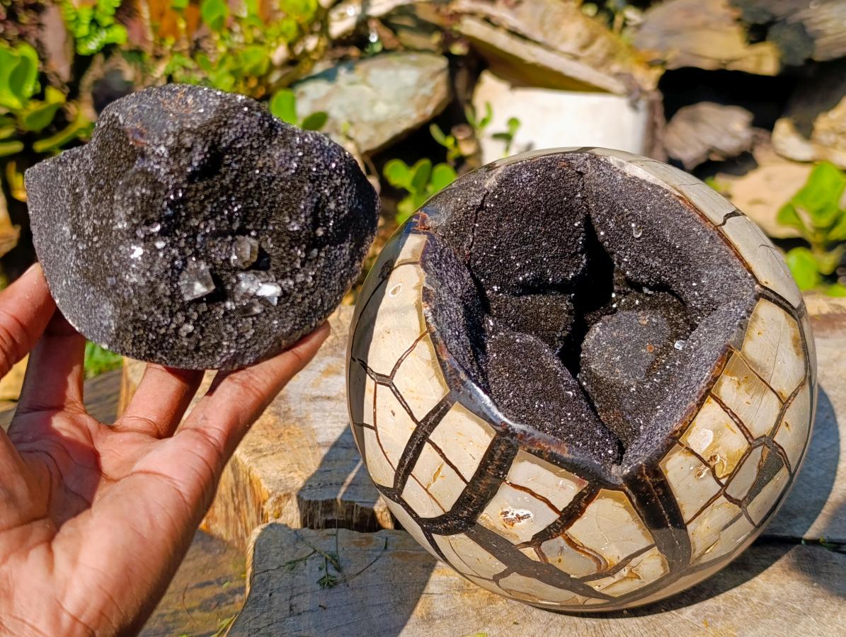 Polished Septerye Sauvage Dragons Egg with Cap x 1 From Mahajanga, Madagascar