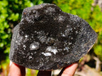 Polished Septerye Sauvage Dragons Egg with Cap x 1 From Mahajanga, Madagascar