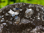 Polished Septerye Sauvage Dragons Egg with Cap x 1 From Mahajanga, Madagascar