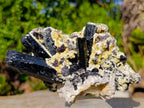 Natural Large Schorl Black Tourmaline Specimen with Associated Minerals x 1 From Erongo, Namibia