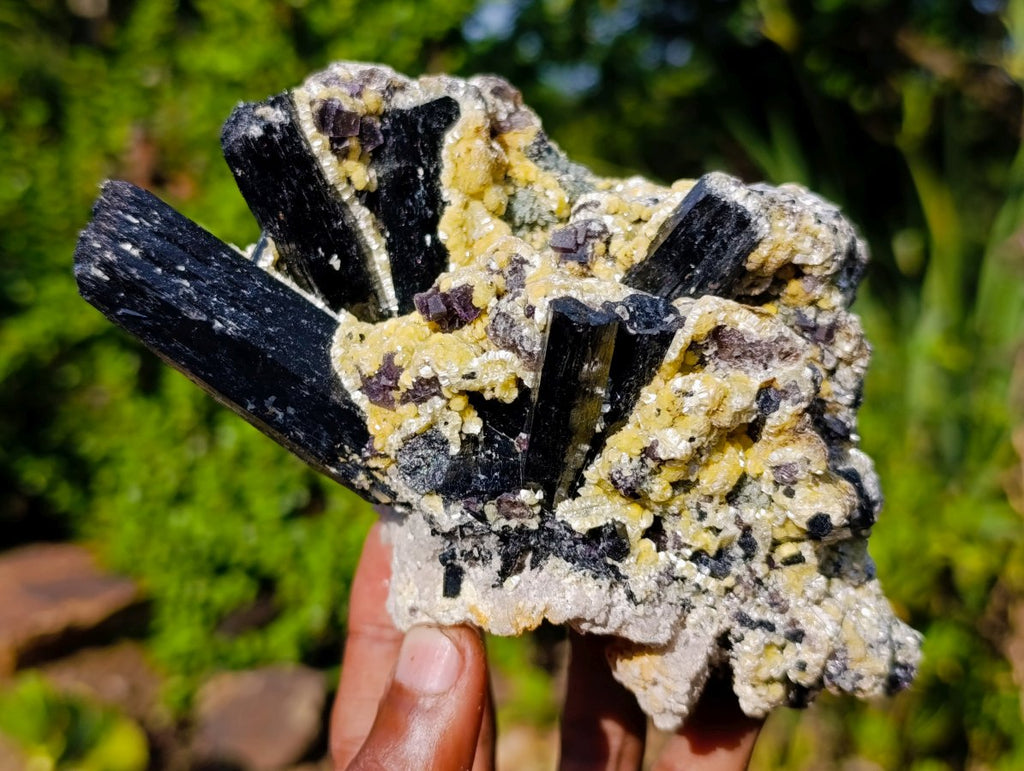 Natural Large Schorl Black Tourmaline Specimen with Associated Minerals x 1 From Erongo, Namibia