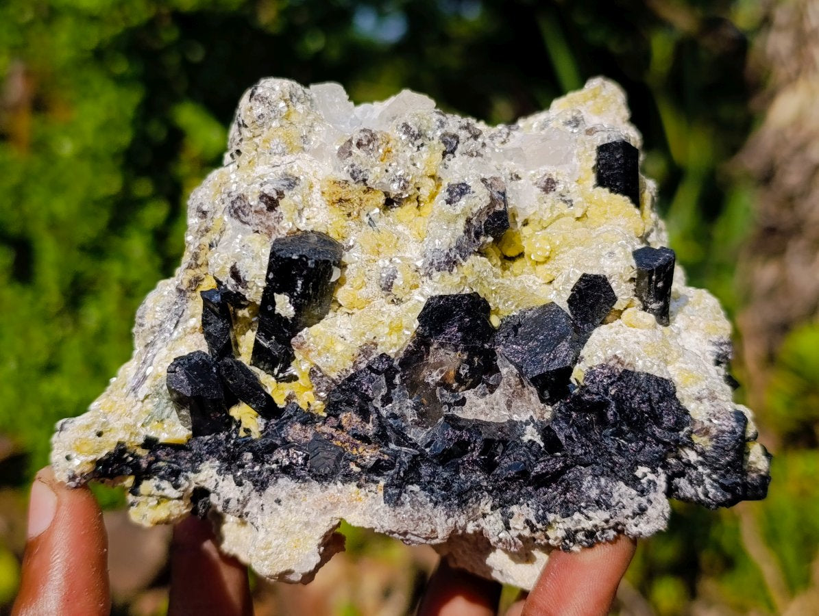 Natural Large Schorl Black Tourmaline Specimen with Associated Minerals x 1 From Erongo, Namibia