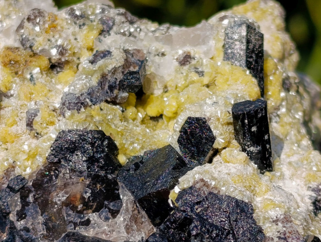 Natural Large Schorl Black Tourmaline Specimen with Associated Minerals x 1 From Erongo, Namibia