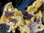Natural Large Schorl Black Tourmaline Specimen with Associated Minerals x 1 From Erongo, Namibia