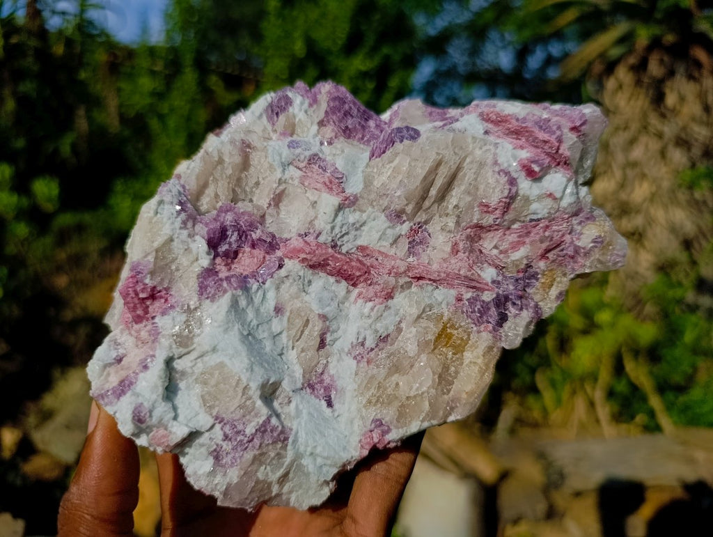Natural Large Rubellite Pink Tourmaline in Quartz and Mica Schist x 1 From Karibib, Namibia