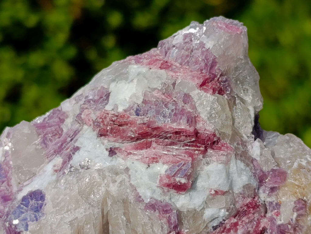 Natural Large Rubellite Pink Tourmaline in Quartz and Mica Schist x 1 From Karibib, Namibia