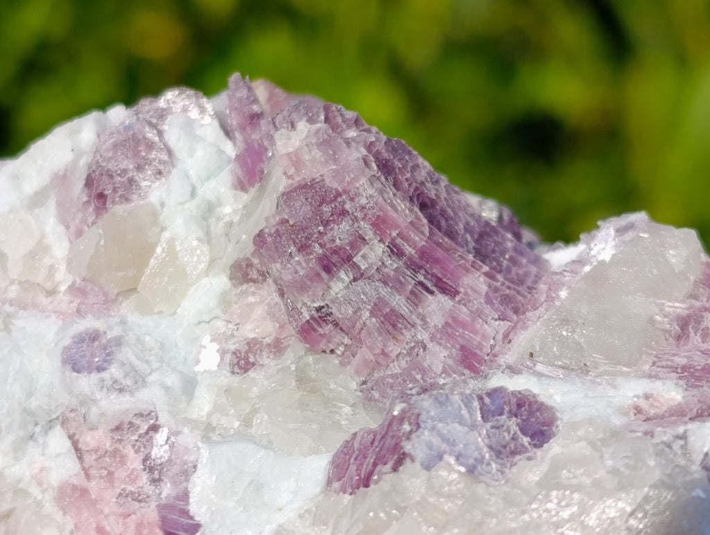 Natural Large Rubellite Pink Tourmaline in Quartz and Mica Schist x 1 From Karibib, Namibia