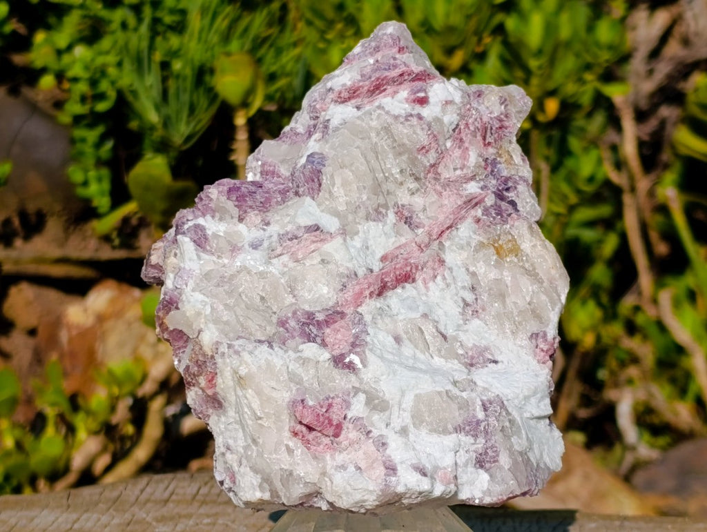 Natural Large Rubellite Pink Tourmaline in Quartz and Mica Schist x 1 From Karibib, Namibia