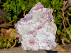 Natural Large Rubellite Pink Tourmaline in Quartz and Mica Schist x 1 From Karibib, Namibia