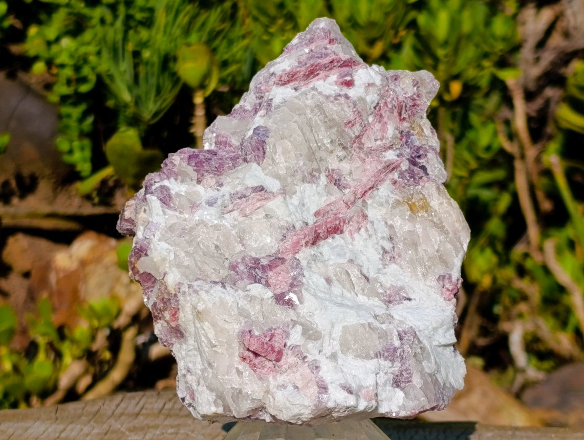 Natural Large Rubellite Pink Tourmaline in Quartz and Mica Schist x 1 From Karibib, Namibia