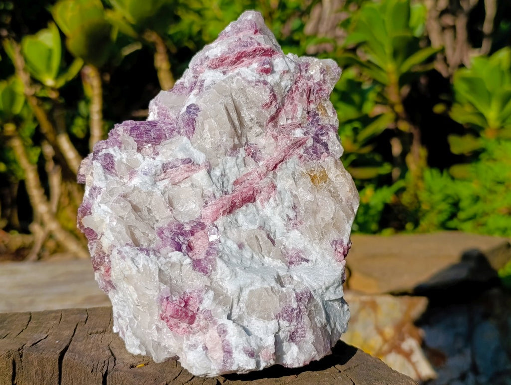 Natural Large Rubellite Pink Tourmaline in Quartz and Mica Schist x 1 From Karibib, Namibia