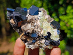 Natural Schorl Black Tourmaline Specimen with Hyalite Opal x 1 From Erongo, Namibia