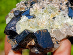 Natural Schorl Black Tourmaline Specimen with Hyalite Opal x 1 From Erongo, Namibia