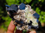 Natural Schorl Black Tourmaline Specimen with Hyalite Opal x 1 From Erongo, Namibia