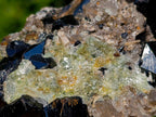 Natural Schorl Black Tourmaline Specimen with Hyalite Opal x 1 From Erongo, Namibia