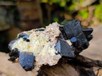 Natural Schorl Black Tourmaline Specimen with Hyalite Opal x 1 From Erongo, Namibia