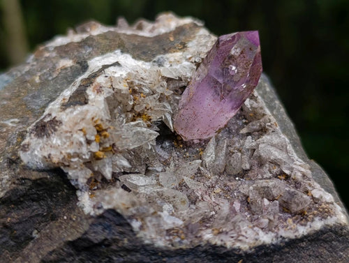 Natural Amethyst Crystal with Dog Tooth Calcite in Matrix x 1 From Goboboseb Mountains, Namibia