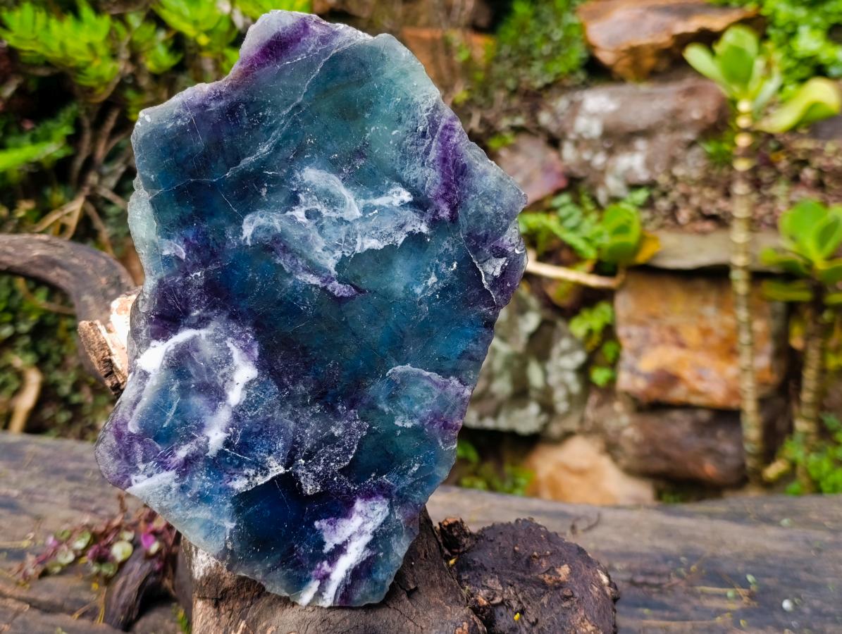 Polished Large Translucent Watermelon Fluorite Slice x 1 From Uis, Namibia