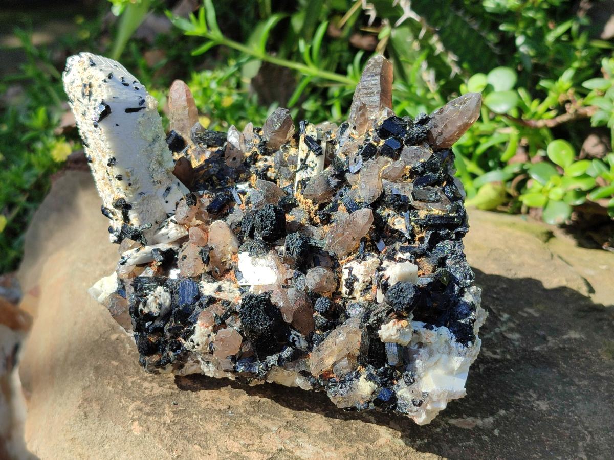 Natural Schorl Black Tourmaline with Associated Minerals Specimen x 1 From Erongo, Namibia