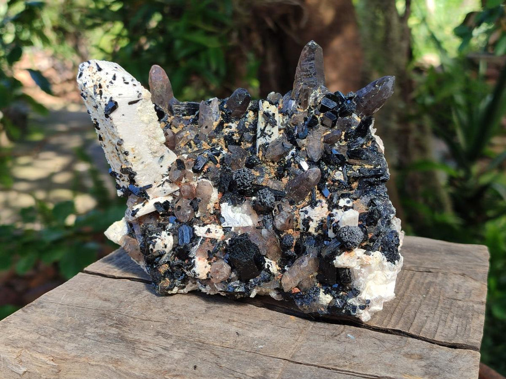 Natural Schorl Black Tourmaline with Associated Minerals Specimen x 1 From Erongo, Namibia