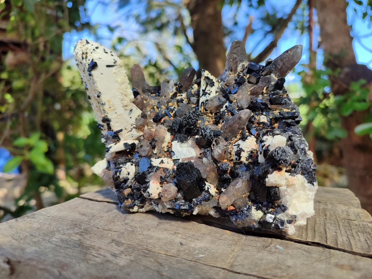 Natural Schorl Black Tourmaline with Associated Minerals Specimen x 1 From Erongo, Namibia