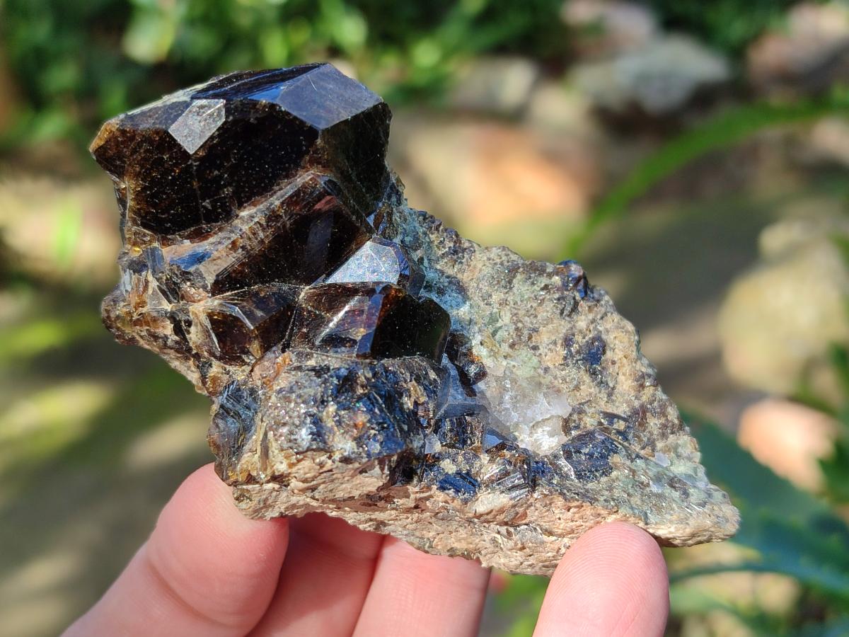 Natural Rare Dravite Brown Tourmaline Specimen x 1 From Erongo, Namibia