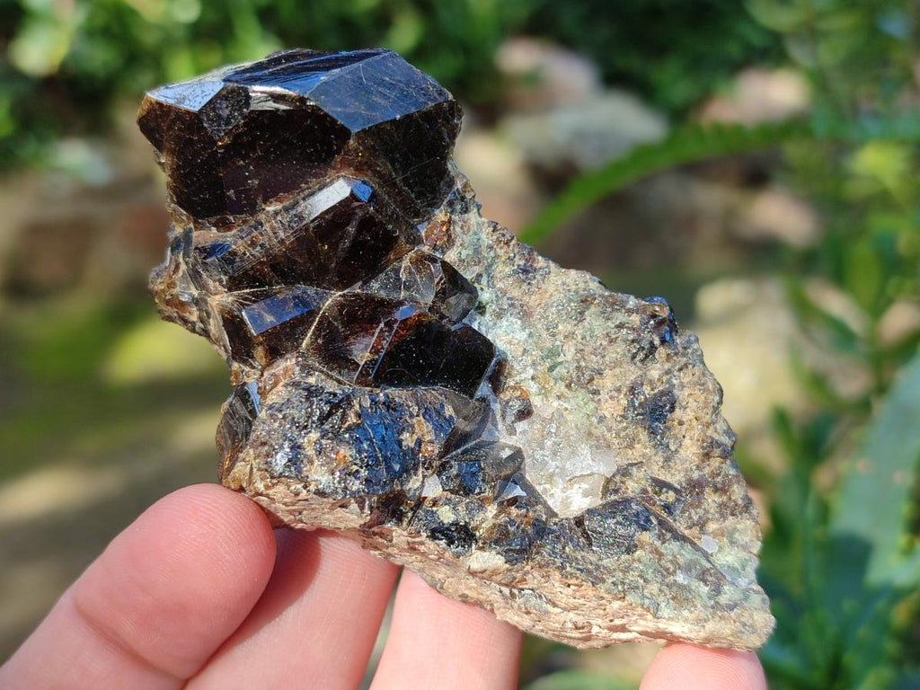 Natural Rare Dravite Brown Tourmaline Specimen x 1 From Erongo, Namibia