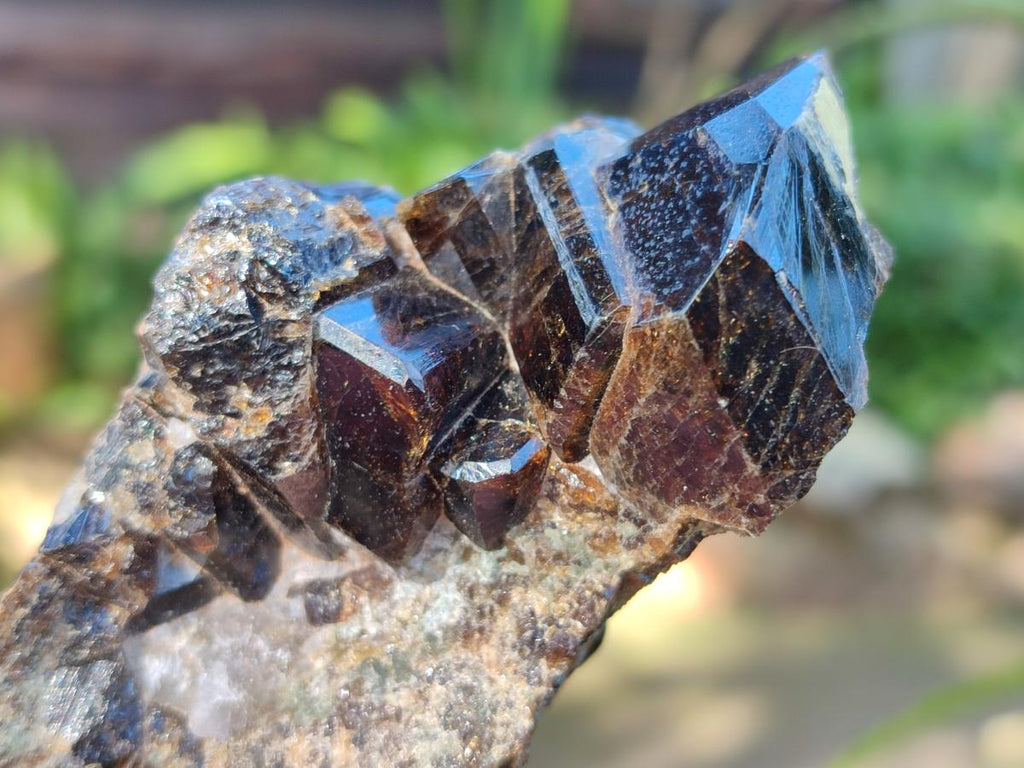 Natural Rare Dravite Brown Tourmaline Specimen x 1 From Erongo, Namibia
