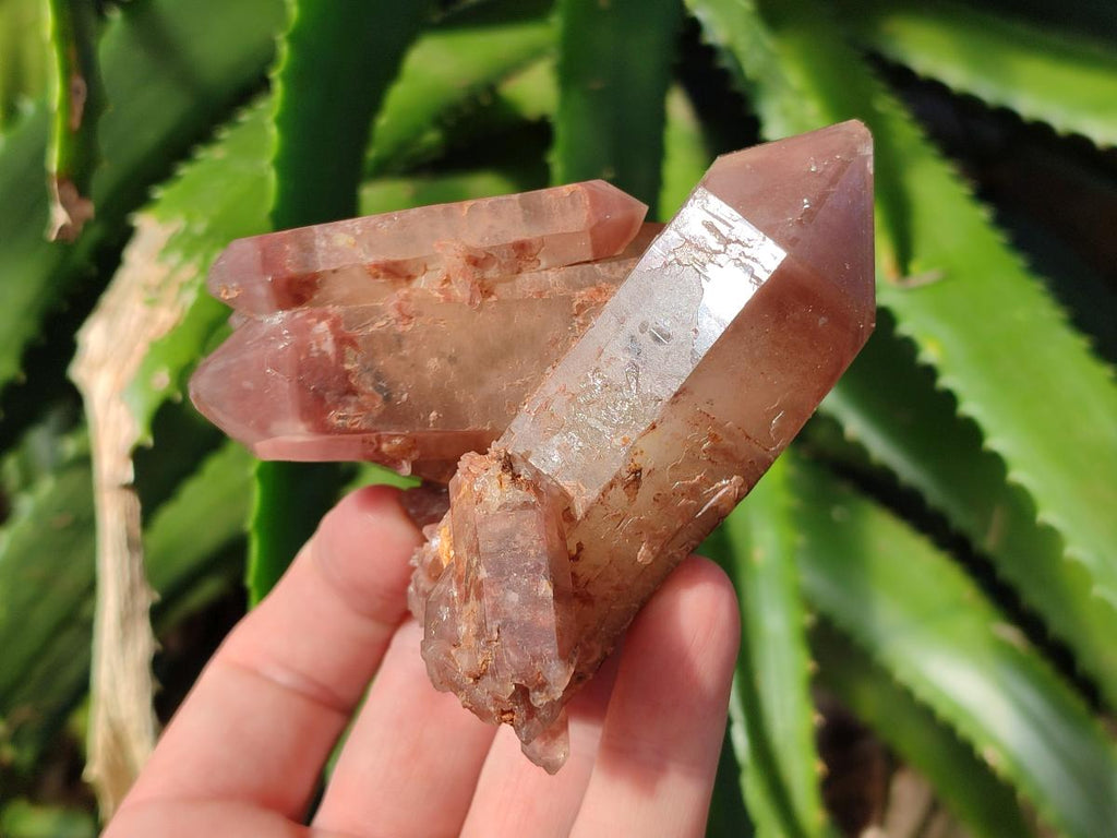 Natural Multi Terminated Red Hematoid Phantom Quartz Crystal Cluster x 1 From Karoi, Zimbabwe