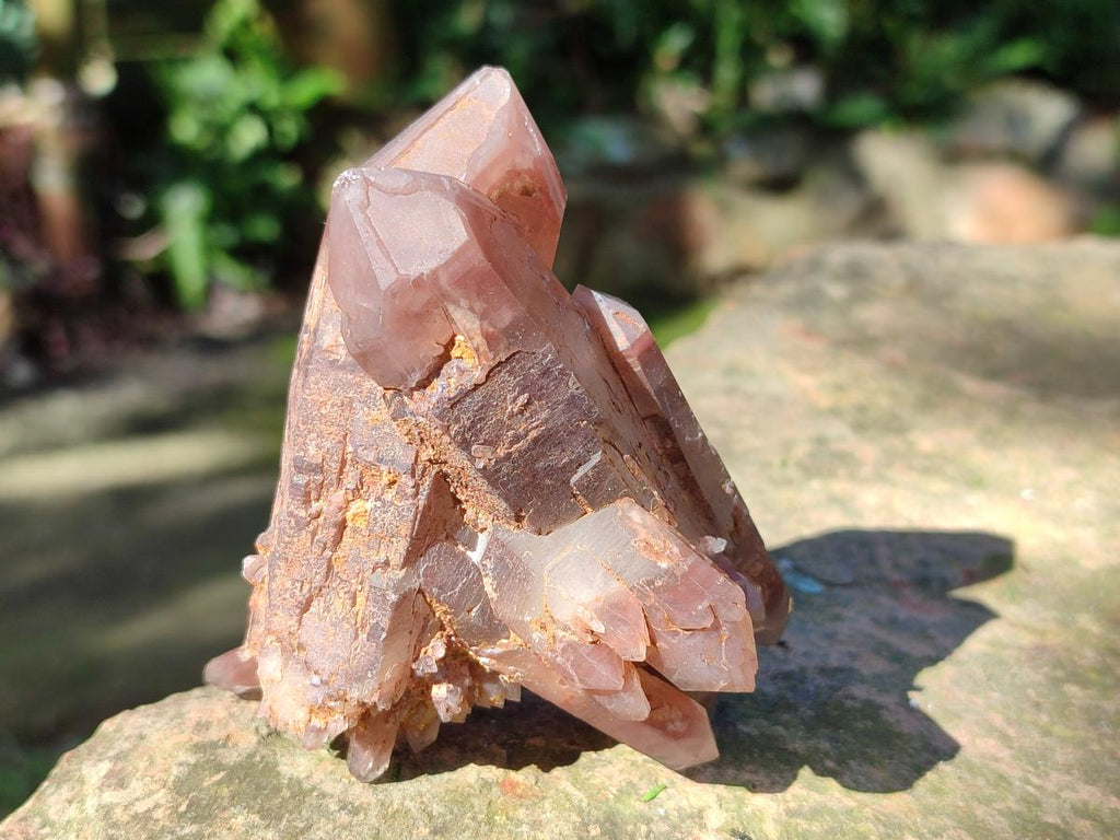 Natural Multi Terminated Red Hematoid Phantom Quartz Crystal Cluster x 1 From Karoi, Zimbabwe