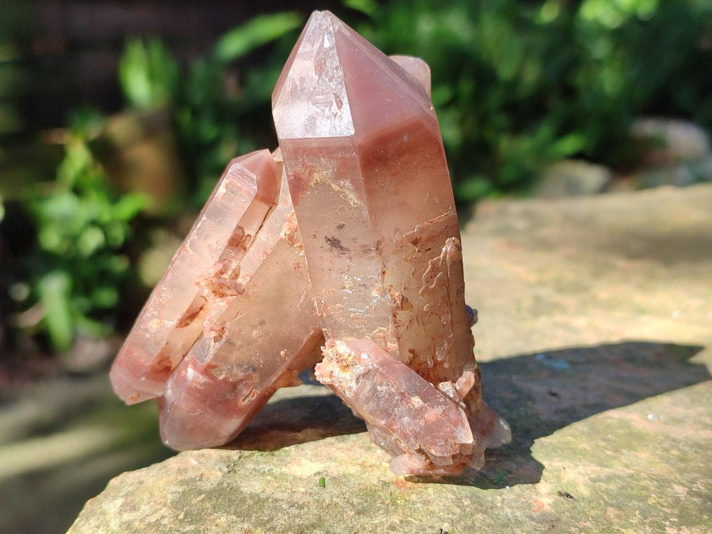 Natural Multi Terminated Red Hematoid Phantom Quartz Crystal Cluster x 1 From Karoi, Zimbabwe