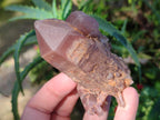 Natural Multi Terminated Red Hematoid Phantom Quartz Crystal Cluster x 1 From Karoi, Zimbabwe