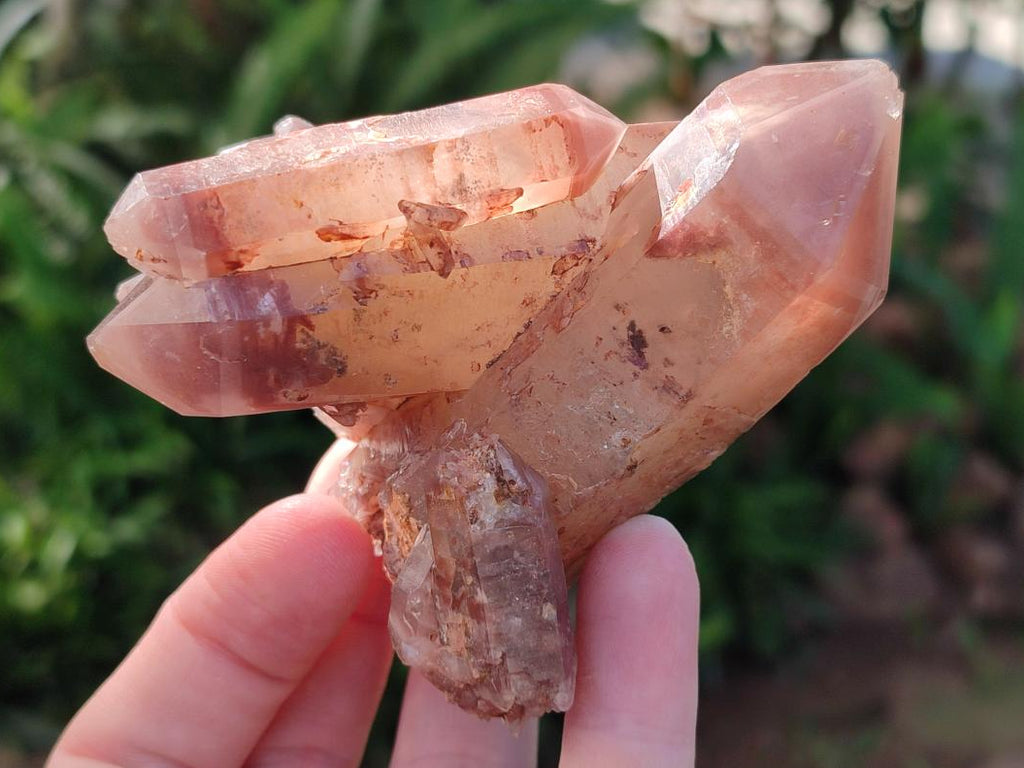 Natural Multi Terminated Red Hematoid Phantom Quartz Crystal Cluster x 1 From Karoi, Zimbabwe