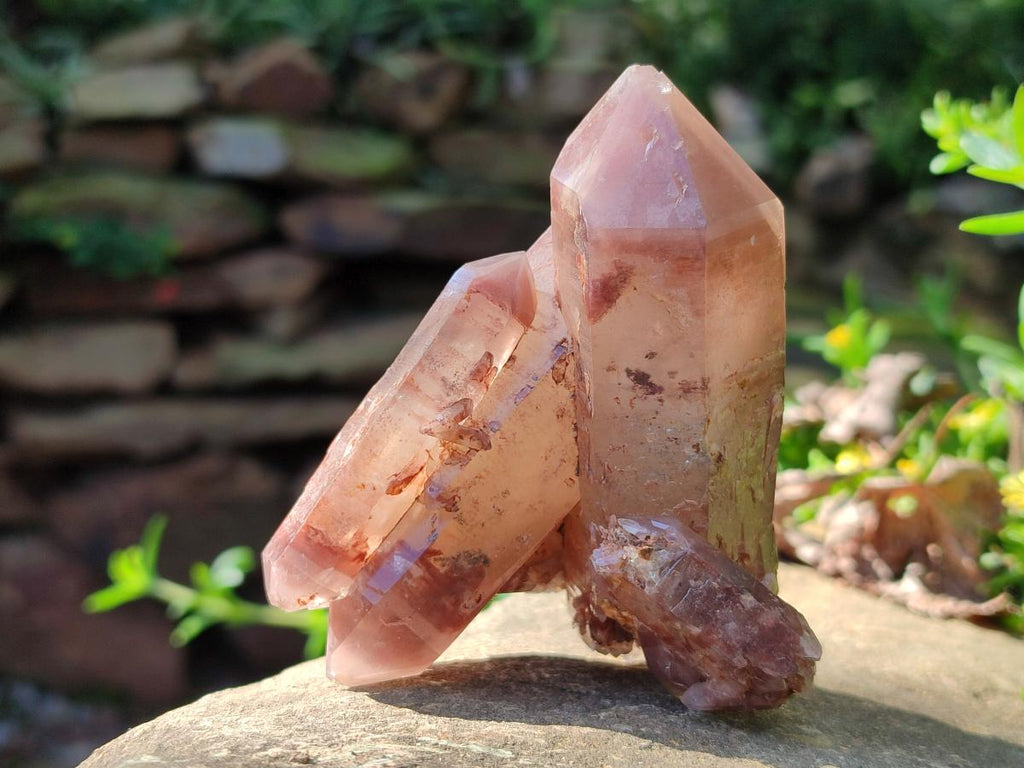 Natural Multi Terminated Red Hematoid Phantom Quartz Crystal Cluster x 1 From Karoi, Zimbabwe