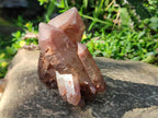 Natural Multi Terminated Red Hematoid Phantom Quartz Crystal Cluster x 1 From Karoi, Zimbabwe