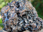 Natural Ultra Rare Descloizite Specimen x 1 From Berg Aukas, Namibia