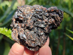 Natural Ultra Rare Descloizite Specimen x 1 From Berg Aukas, Namibia