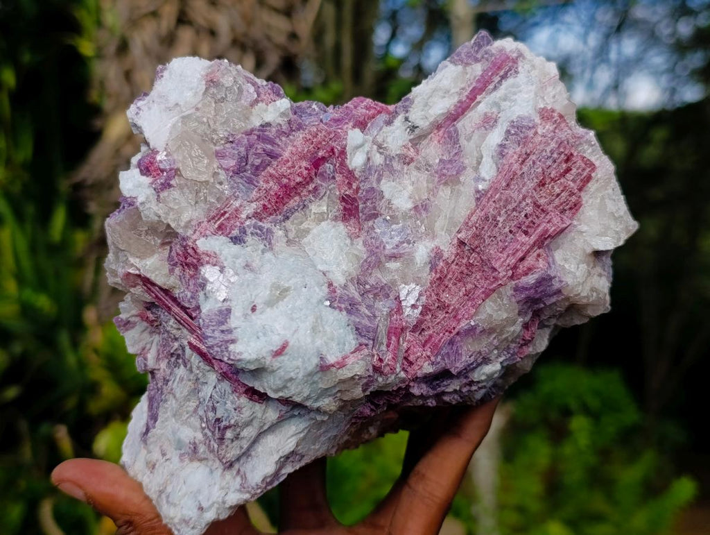 Natural Rubellite Pink Tourmaline in Quartz and Mica Schist x 1 From Karibib, Namibia
