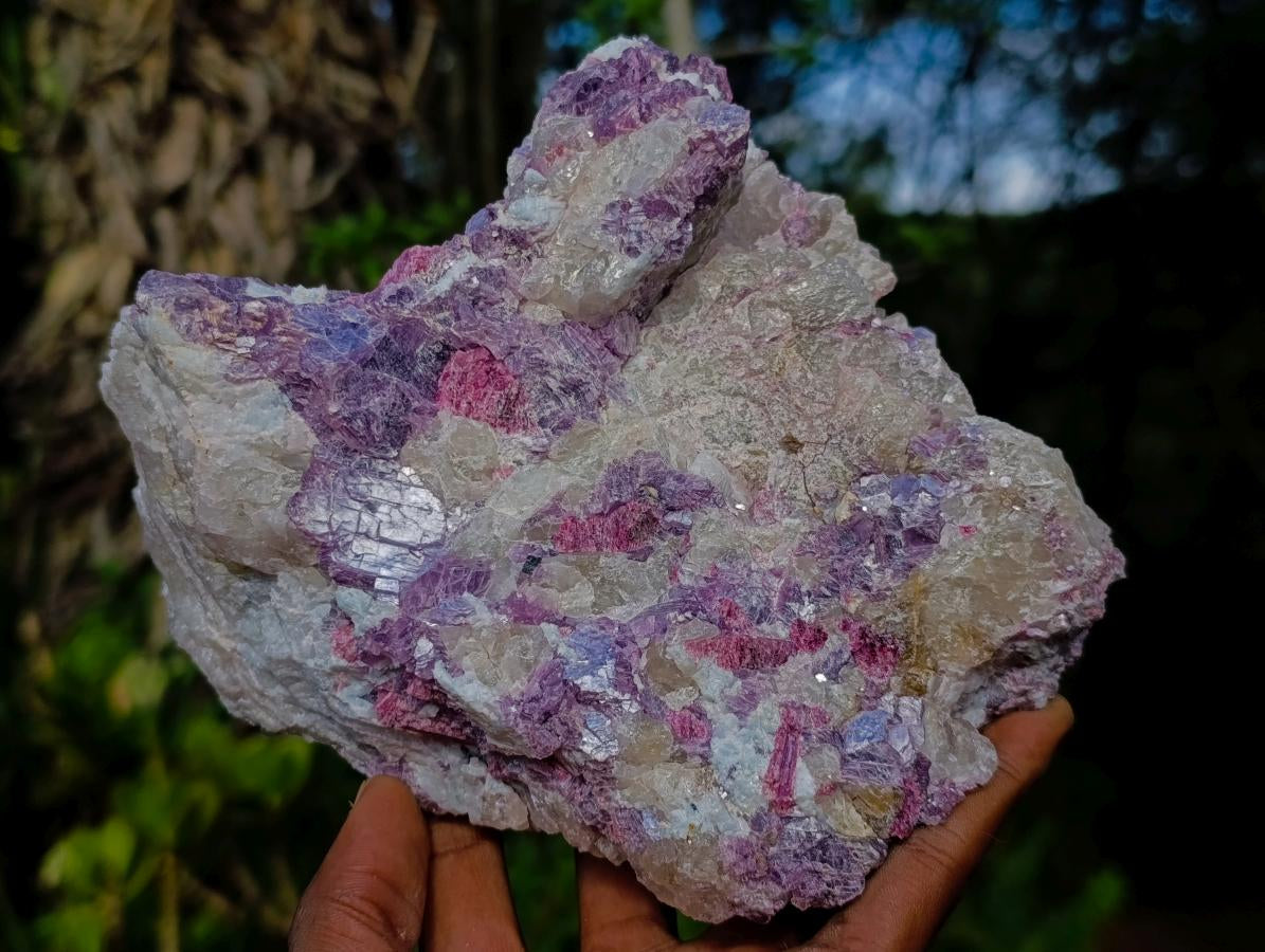 Natural Rubellite Pink Tourmaline in Quartz and Mica Schist x 1 From Karibib, Namibia