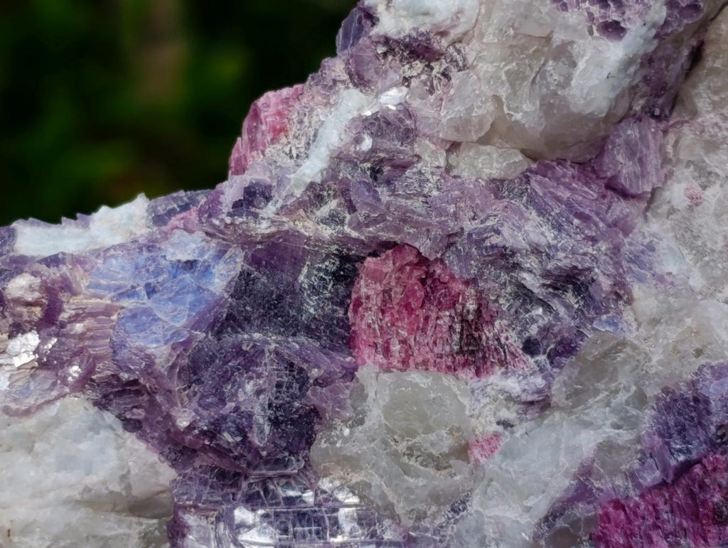 Natural Rubellite Pink Tourmaline in Quartz and Mica Schist x 1 From Karibib, Namibia