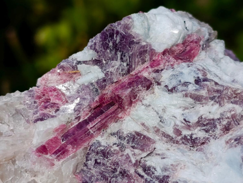 Natural Rubellite Pink Tourmaline in Quartz and Mica Schist x 1 From Karibib, Namibia