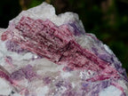 Natural Rubellite Pink Tourmaline in Quartz and Mica Schist x 1 From Karibib, Namibia