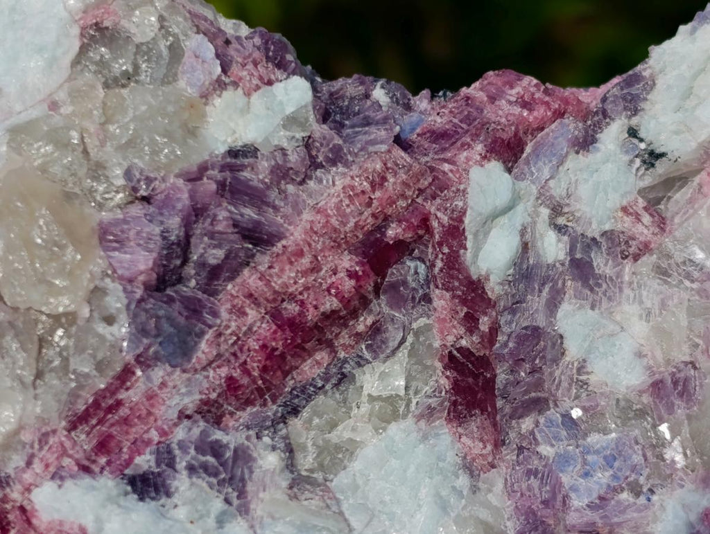 Natural Rubellite Pink Tourmaline in Quartz and Mica Schist x 1 From Karibib, Namibia